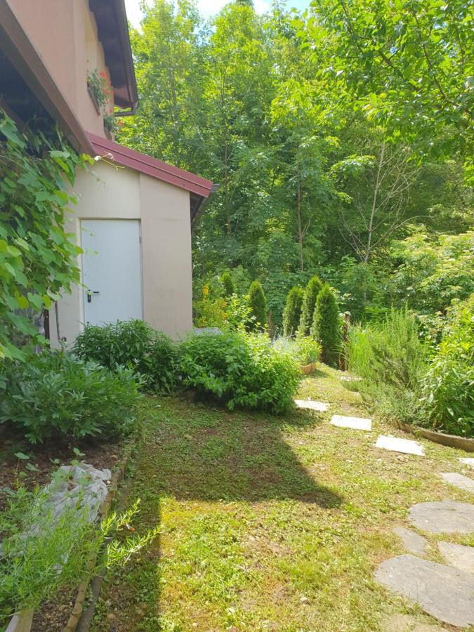Apartment With Terrace Nona Pavla Tolmin Dış mekan fotoğraf