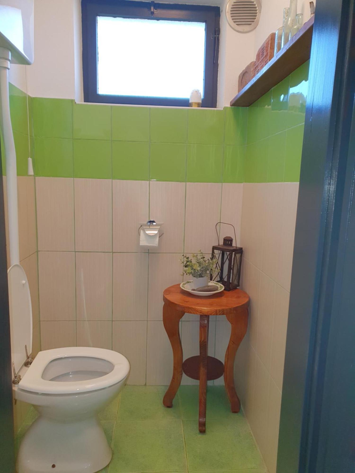 Apartment With Terrace Nona Pavla Tolmin Dış mekan fotoğraf