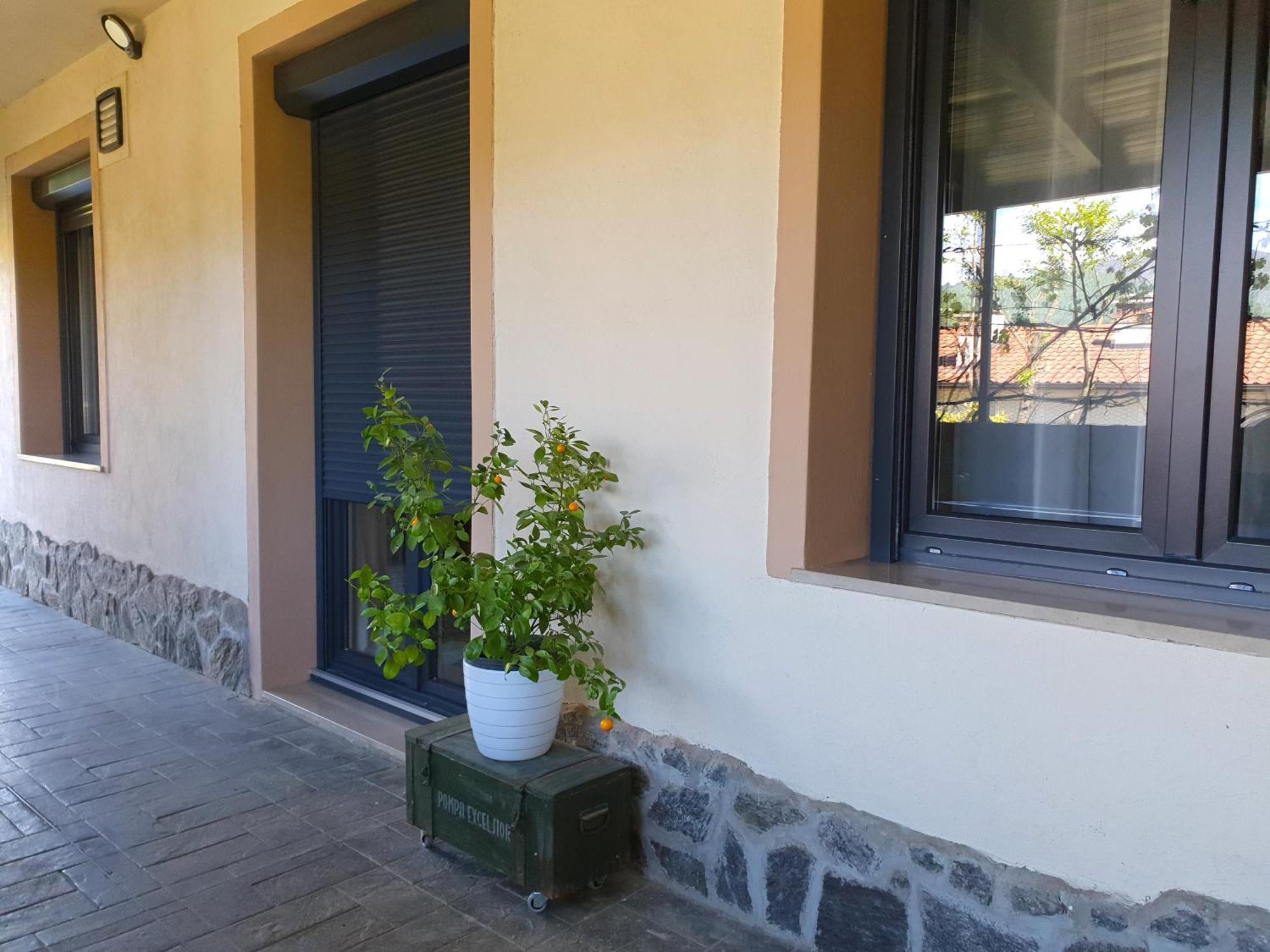 Apartment With Terrace Nona Pavla Tolmin Dış mekan fotoğraf