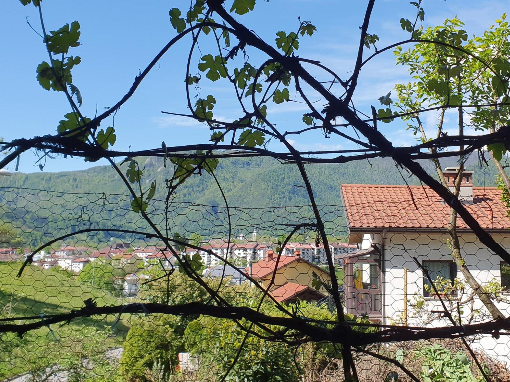 Apartment With Terrace Nona Pavla Tolmin Dış mekan fotoğraf